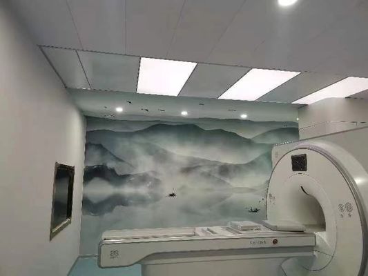 100dB MRI 보호실 패라데이 보호 패라데이 케이지 커스터마이징 가능한 문