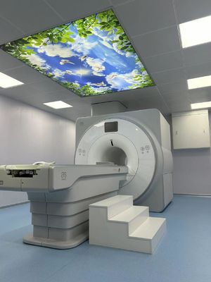 좋은 가격 초전도 자석에 대한 반향 영상 시스템 1.5T 파라데이 케이지 박스 100MHZ 온라인으로