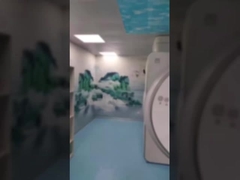 큐보이드 군사 마그네틱 파라데이 케이지 MRI 영상화 마그네틱 필드 파라데이 케이지