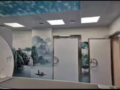 연구실용 은색 패러데이 케이지 MRI: 최고의 차폐 솔루션